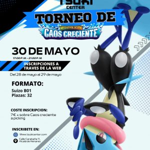 Participación torneo 30 de mayo